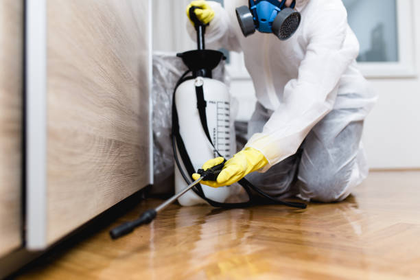 Best Affordable Pest Control Services  in Pawhuska, OK