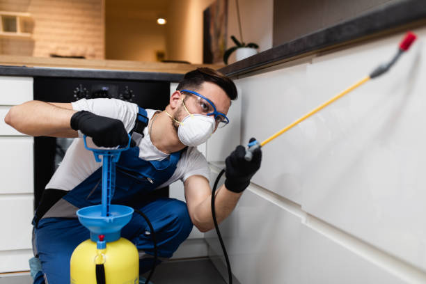 Best Residential Pest Control  in Pawhuska, OK
