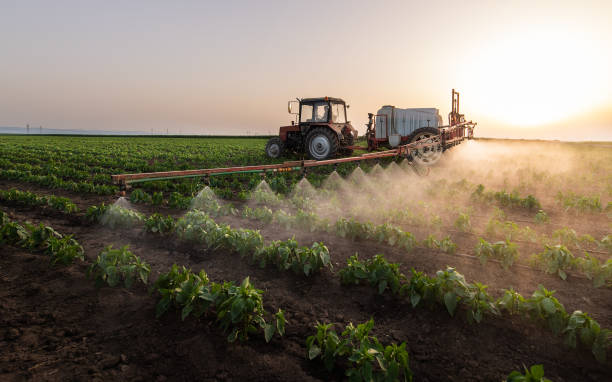 Trusted Pawhuska, OK Pest Control Experts