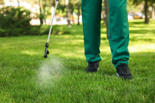 Best Emergency Pest Control  in Pawhuska, OK