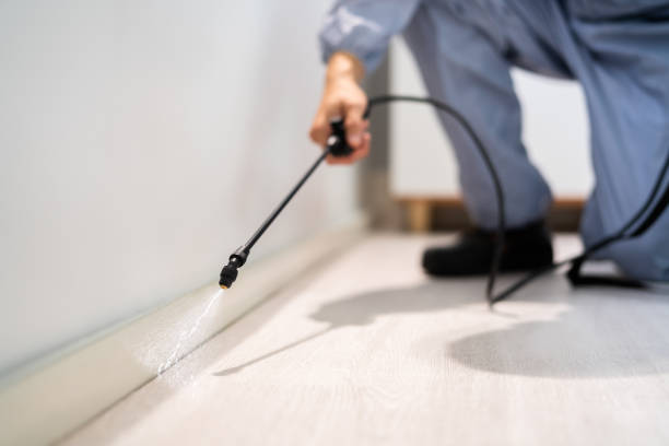 Best Best Pest Control Companies  in Pawhuska, OK