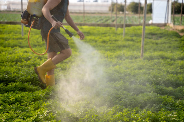 Best Pest Prevention Services  in Pawhuska, OK