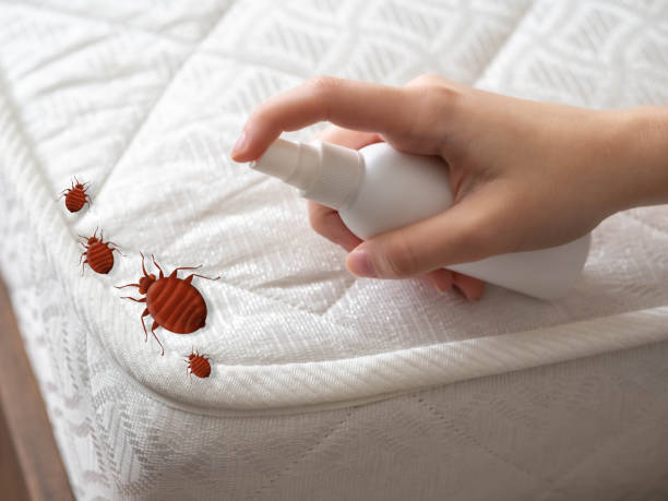 Best Pest Inspection Near Me  in Pawhuska, OK