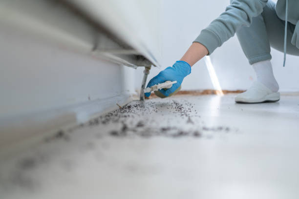Best Wasp Removal Services  in Pawhuska, OK